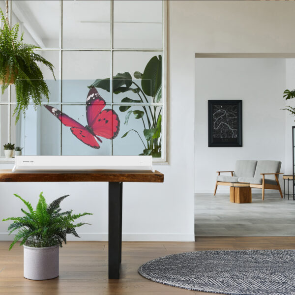 Thomson 55” LUCID OLED - Görsel 3